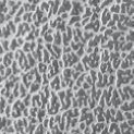 Blech aus Edelstahl 1.4301 2 R mit Folie gebürstet | Dekor Leder | 1,5 x 1250 x 2500 mm